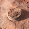 navajo_8116