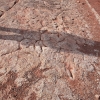 navajo_8118