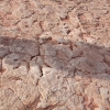 navajo_8119