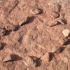 navajo_8121