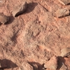 navajo_8122