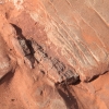 navajo_8124