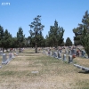 roswell_5331