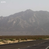 whitesands_5278