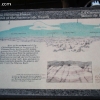 whitesands_5285