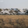 whitesands_5287