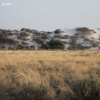 whitesands_5288