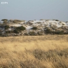 whitesands_5291