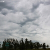 ndhwy_4017