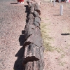 painteddesert_4953