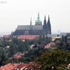 praja_3151