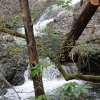 ptreyes_9067