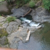 ptreyes_9070