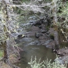 ptreyes_9073