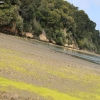 ptreyes_9132