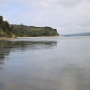 ptreyes_9134