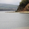 ptreyes_9135