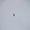 ptreyes_9138