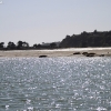 ptreyes_9392