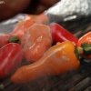 bbq-peppers-1