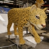 float-building_6065