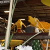 float-building_6080