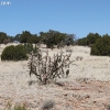 elmalpais_7773