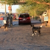route66_7650
