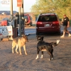 route66_7651