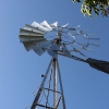 walnutgrove_10512