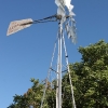 walnutgrove_10513