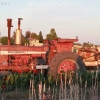 walnutgrove_10577