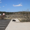 sedona_7518
