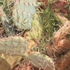 sedona_7584