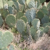 sedona_7588