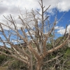 sedona_7596
