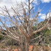 sedona_7597