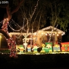 lights_9387