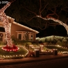 lights_9390