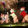 lights_9392