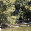 yosemite-feb23_1760
