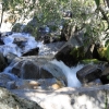 yosemite-feb23_1767