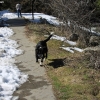 yosemite-feb23_1769