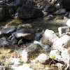 yosemite-feb23_1777