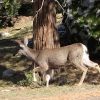 yosemite-feb23_1805