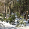 yosemite-feb23_1810