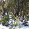 yosemite-feb23_1811