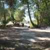 cachuma_5823