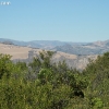 cachuma_5828