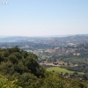 cachuma_5833